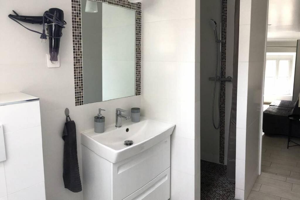 Ferienwohnung Duplex Bellifontain Au Coeur De Fontainebleau Exterior foto